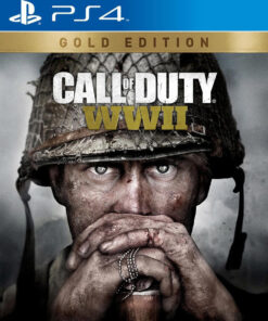Call of Duty: WWII PS4